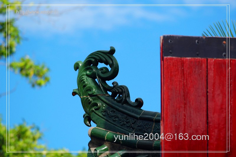 上传的图片