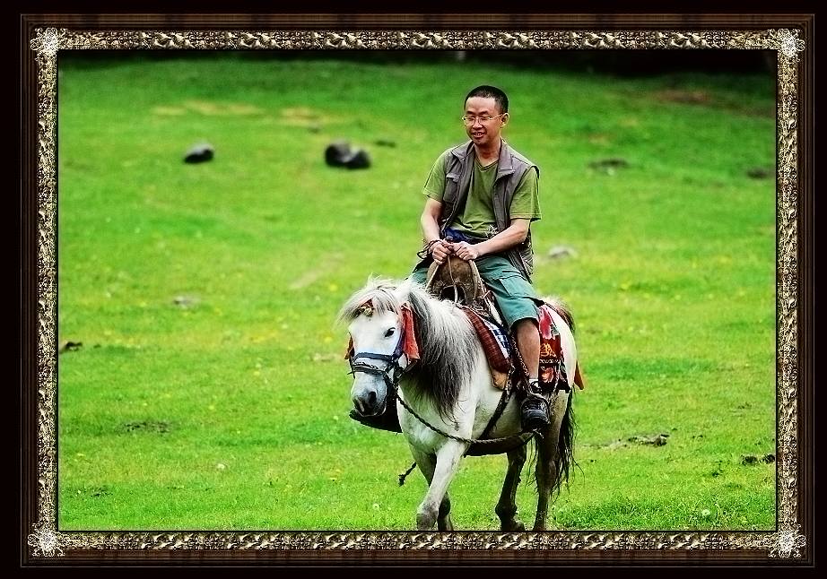 上传的图片
