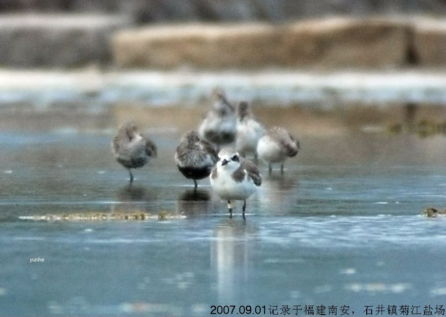 上传的图片