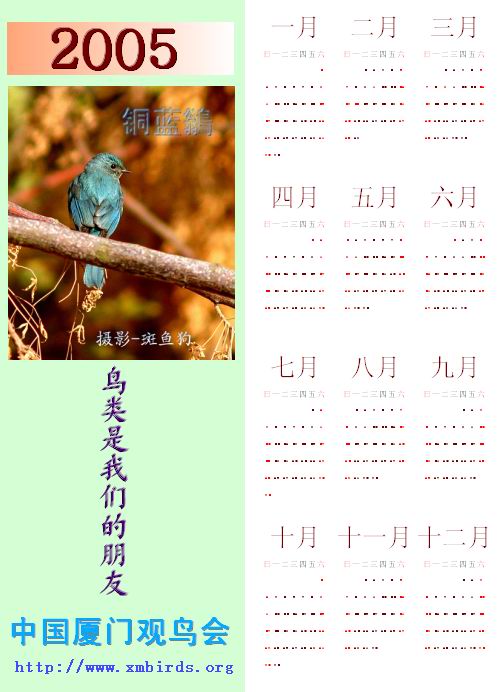 上传的图片