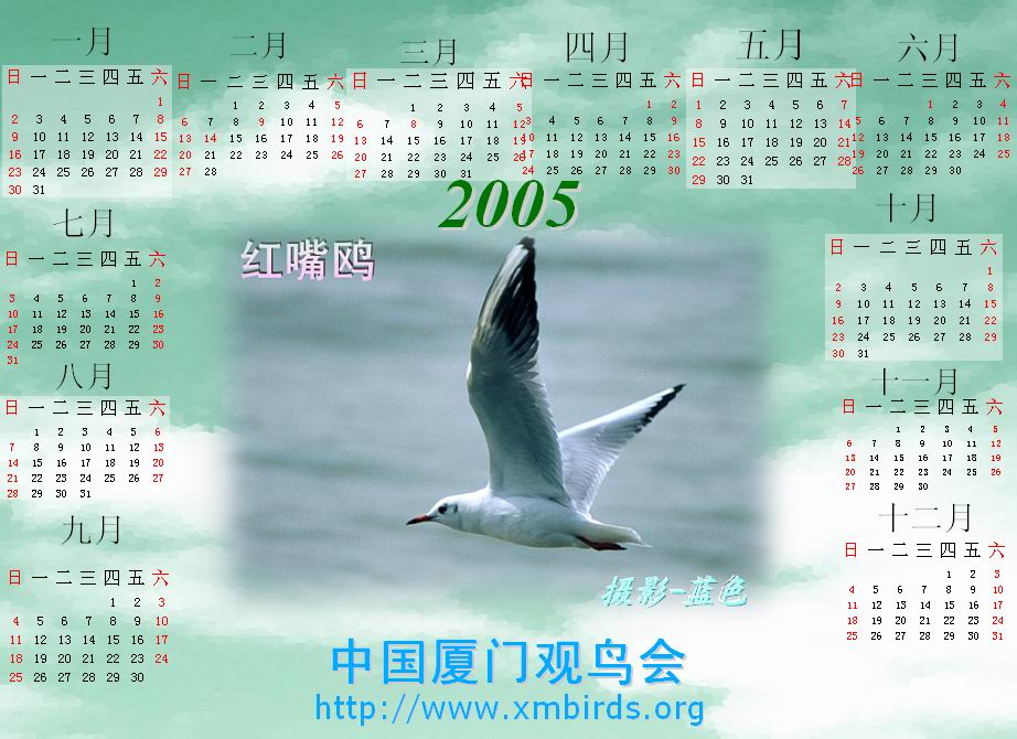 上传的图片