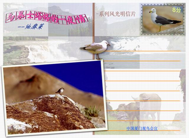上传的图片