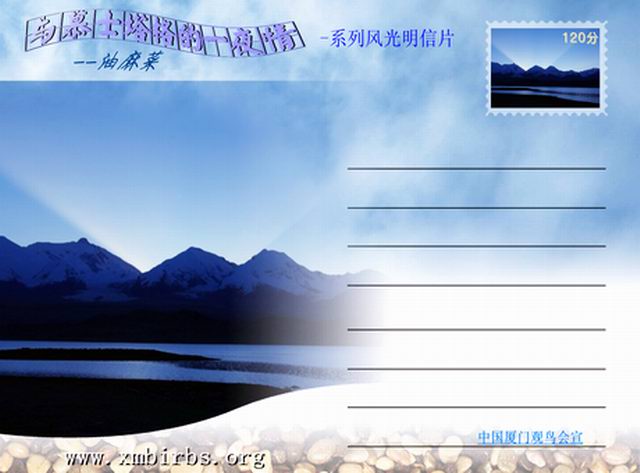 上传的图片