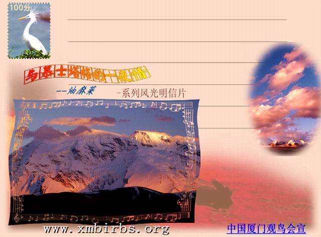 上传的图片