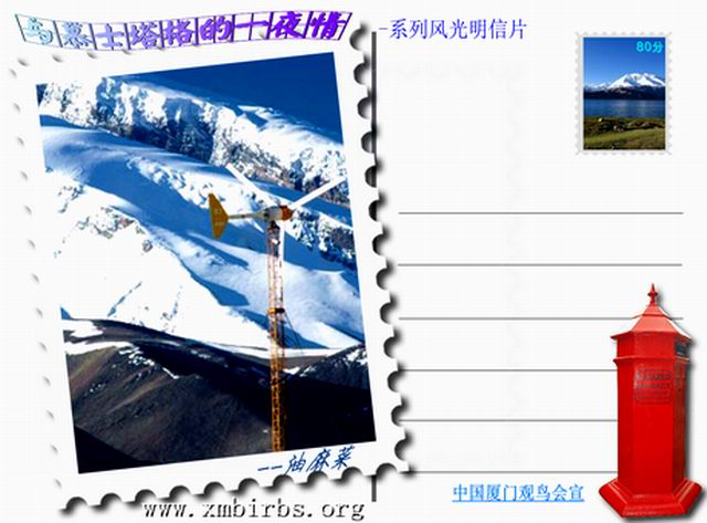 上传的图片