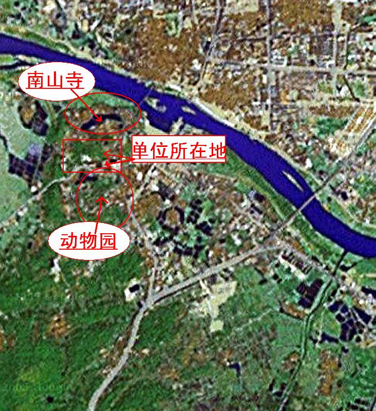 上传的图片