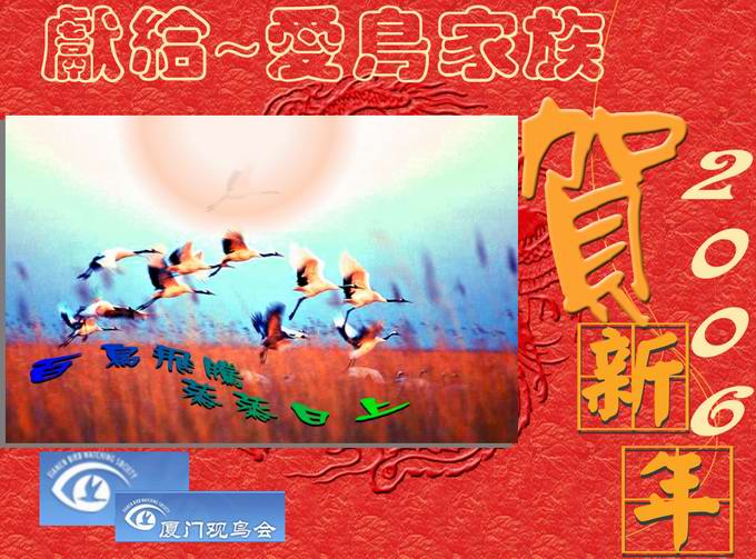 上传的图片