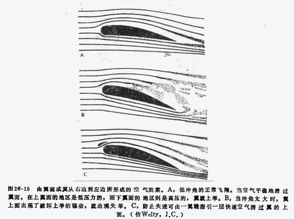 上传的图片