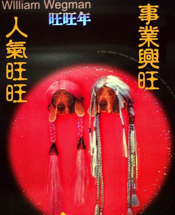 上传的图片