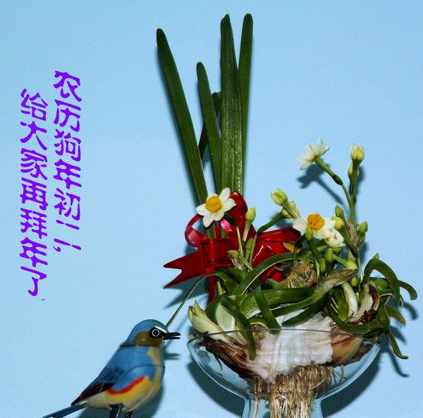 上传的图片