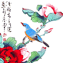 上传的图片