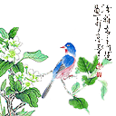 上传的图片