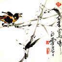 上传的图片