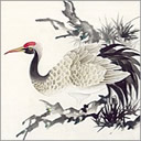 上传的图片