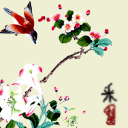 上传的图片