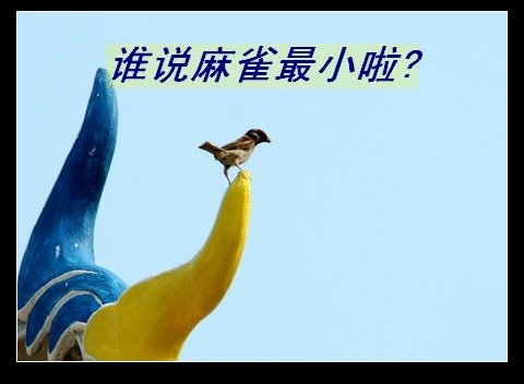 上传的图片