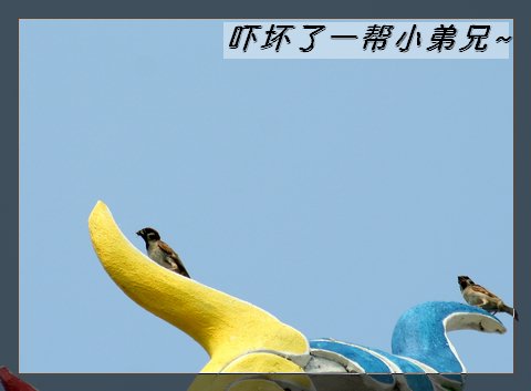 上传的图片