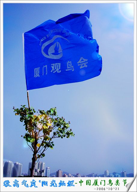 上传的图片