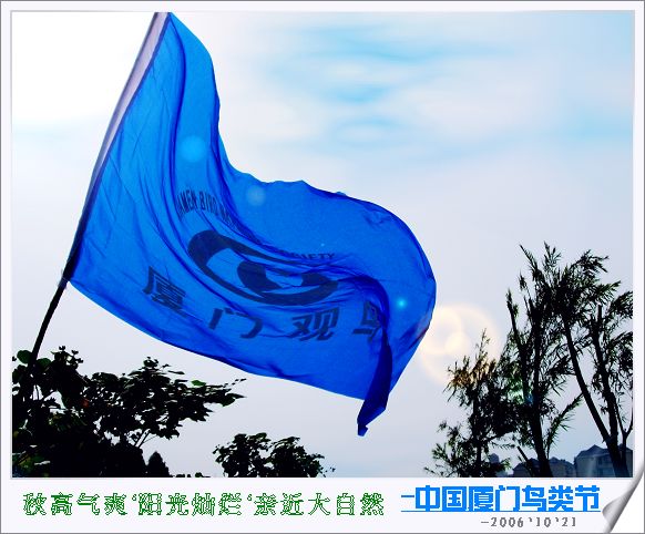 上传的图片