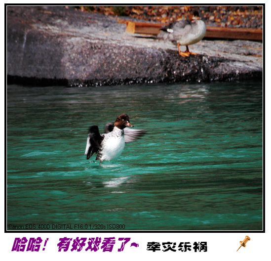 上传的图片