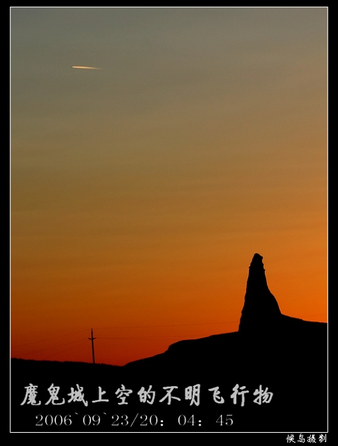 上传的图片