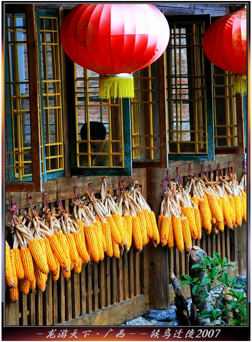 上传的图片
