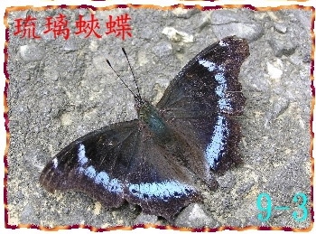 上传的图片