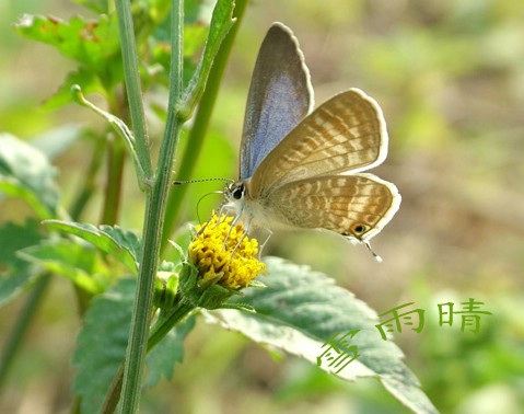 上传的图片