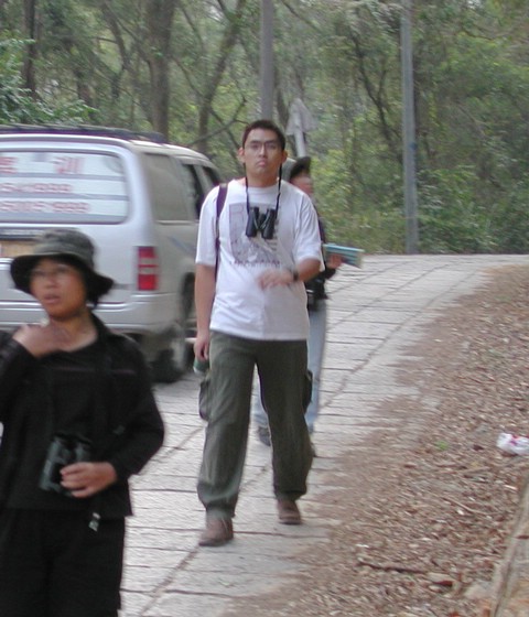 上传的图片