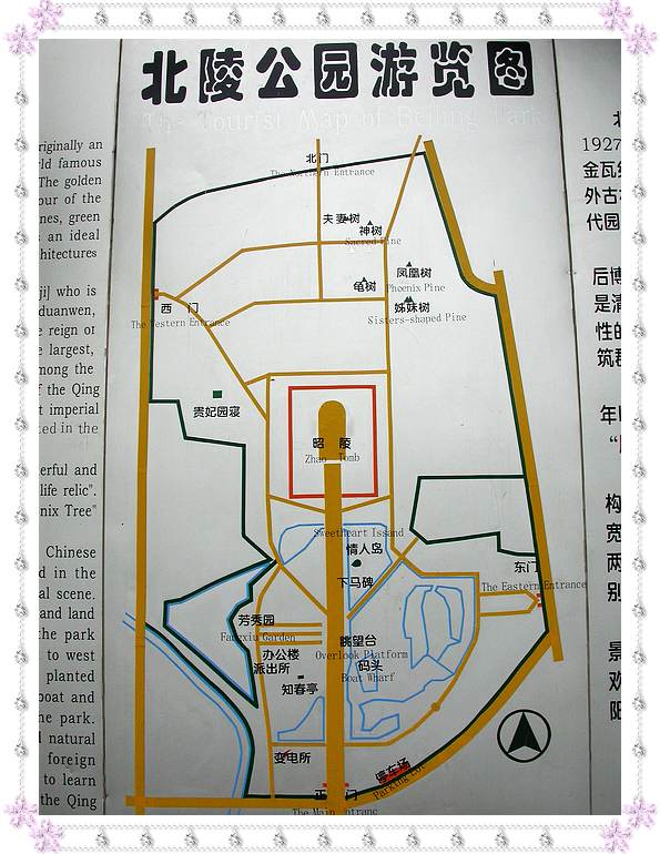 上传的图片