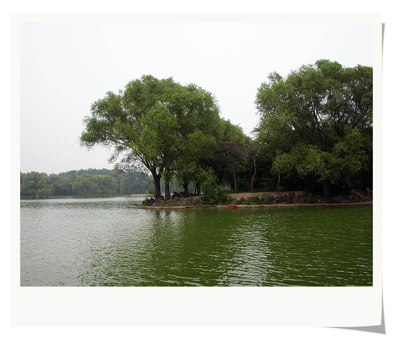 上传的图片