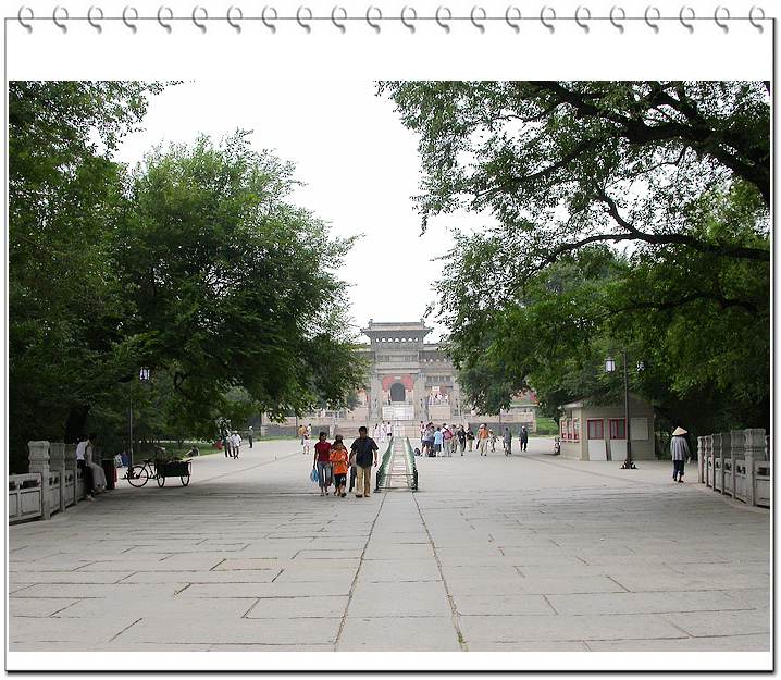 上传的图片