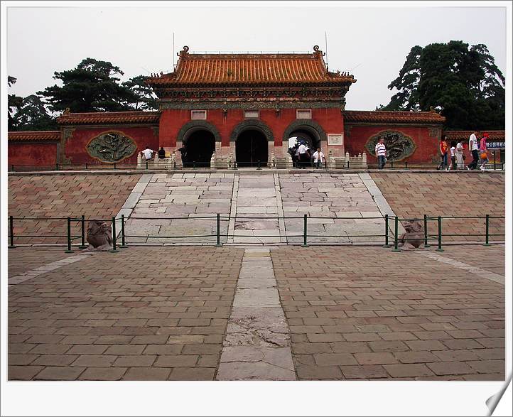上传的图片
