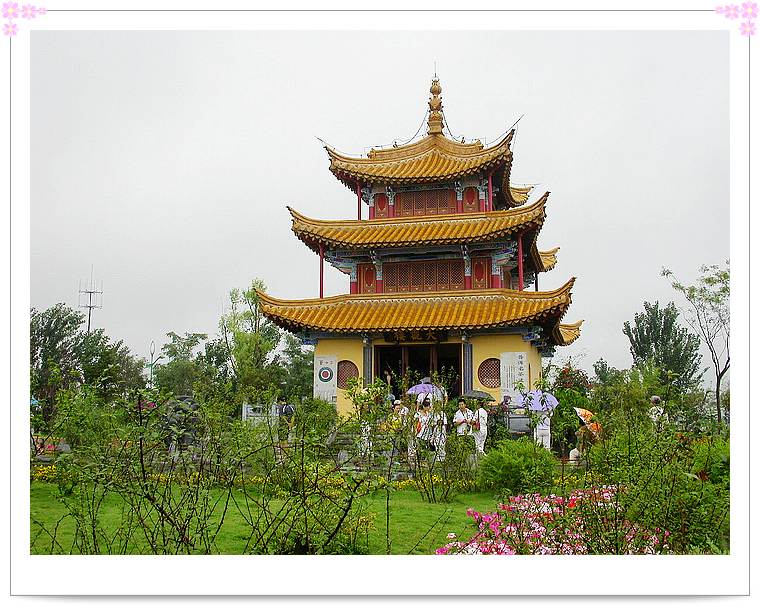 上传的图片