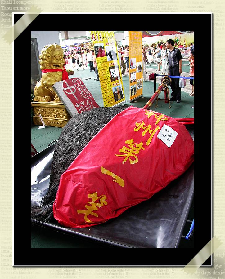 上传的图片