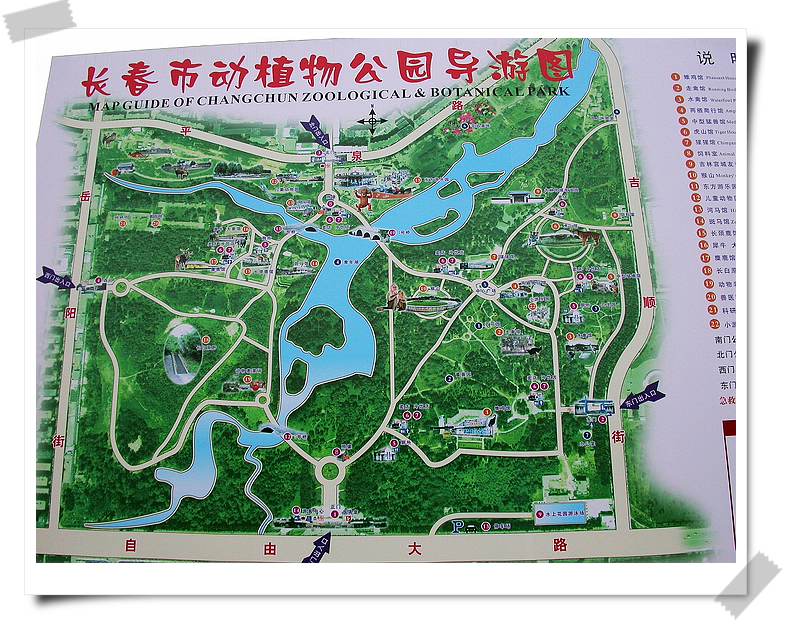 上传的图片