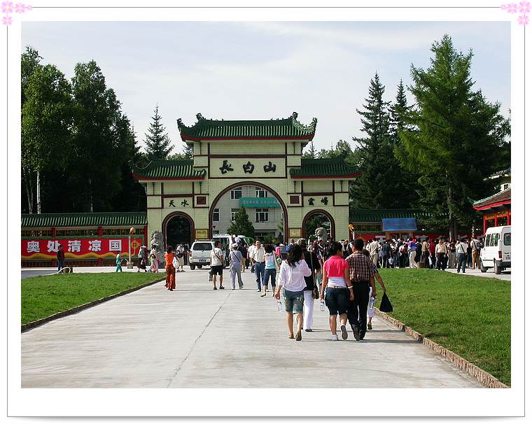 上传的图片