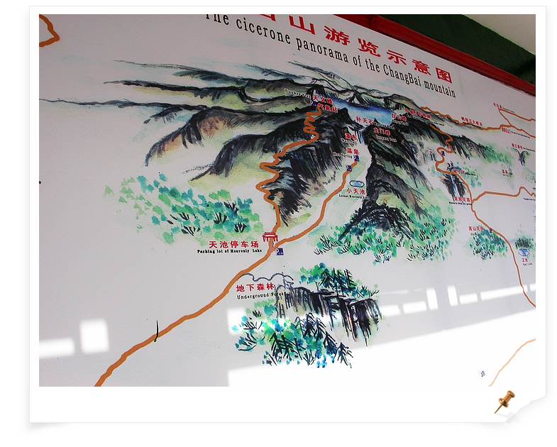上传的图片