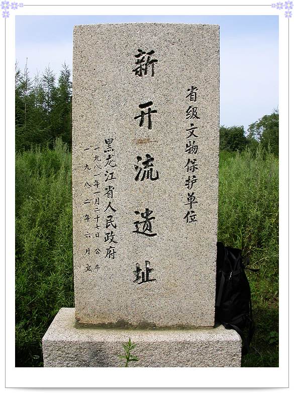 上传的图片