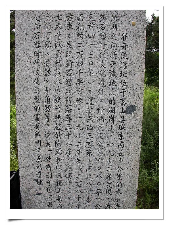 上传的图片