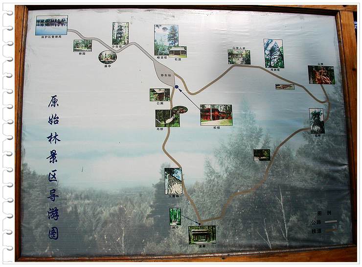 上传的图片
