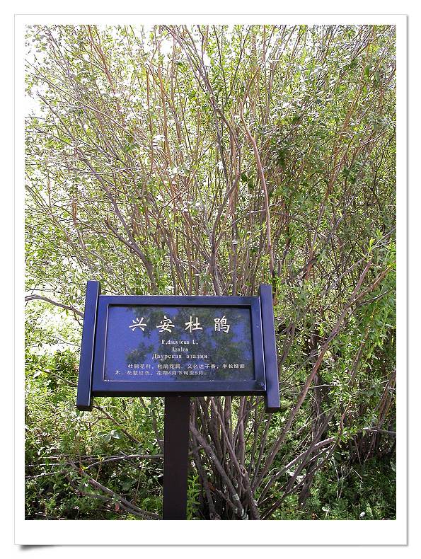 上传的图片