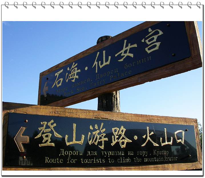 上传的图片