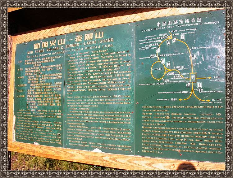 上传的图片