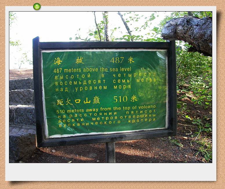 上传的图片