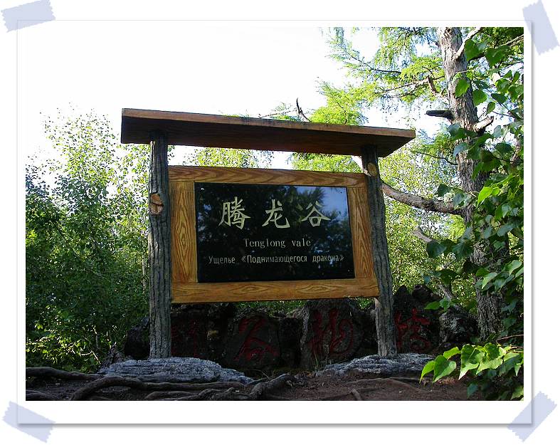 上传的图片