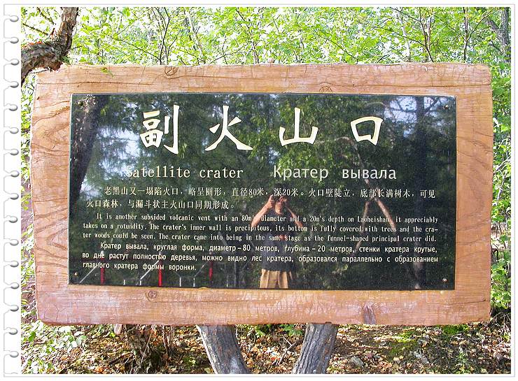 上传的图片