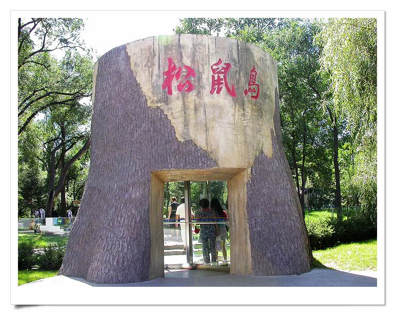 上传的图片