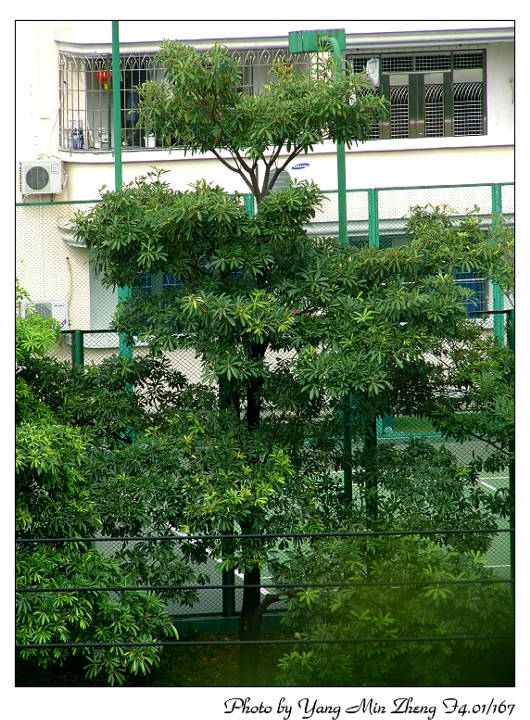 上传的图片
