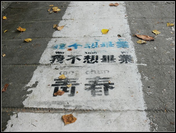 上传的图片